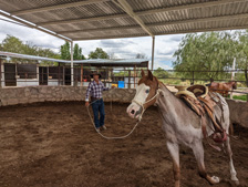 Mexico-Central Mexico-In the Land of Tequila: Horseback Riding in Jalisco Haciendas